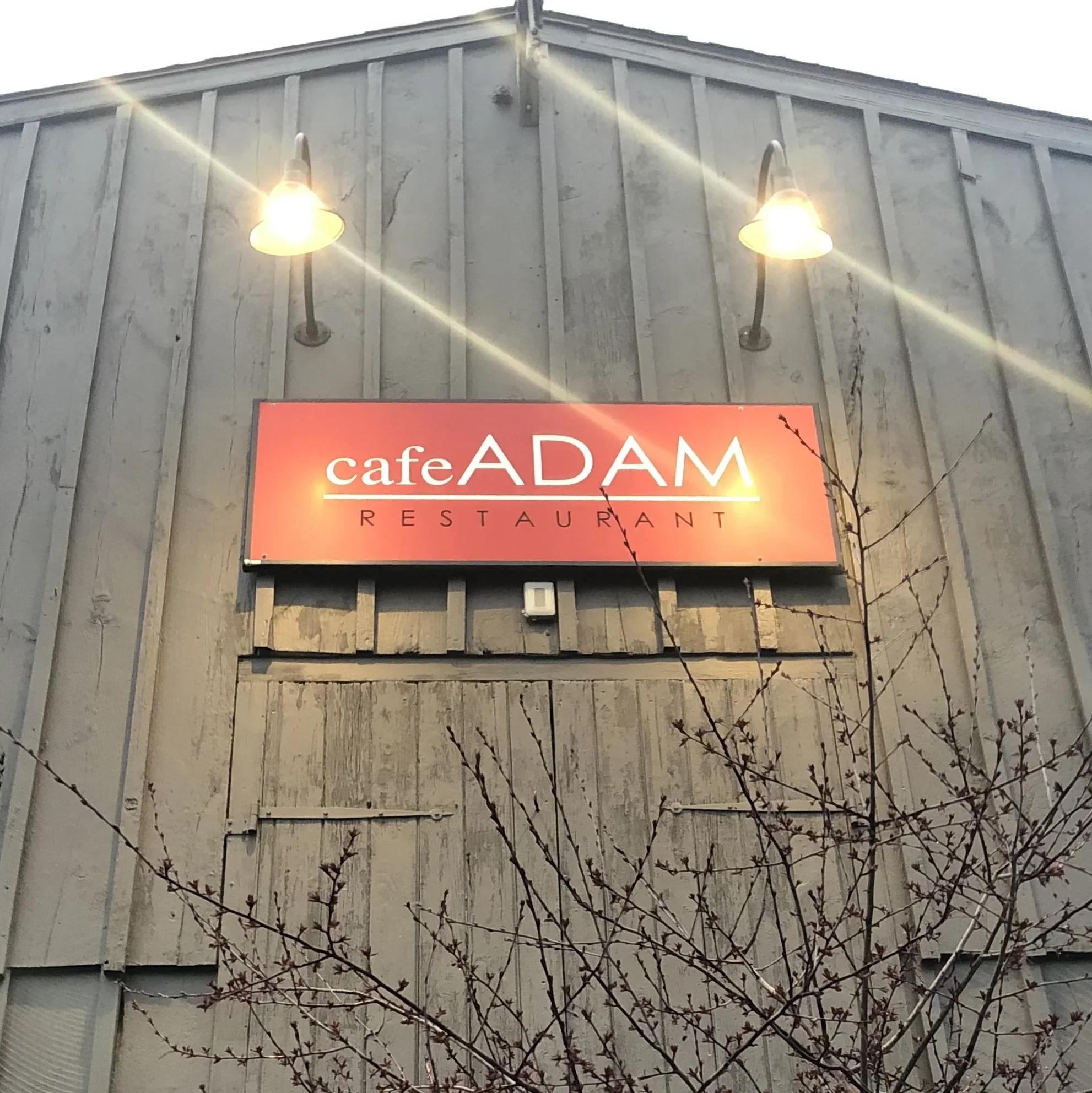 Adam Cafe 1 adam cafe