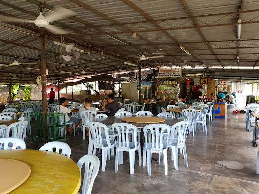 Big Tree Forest Corner