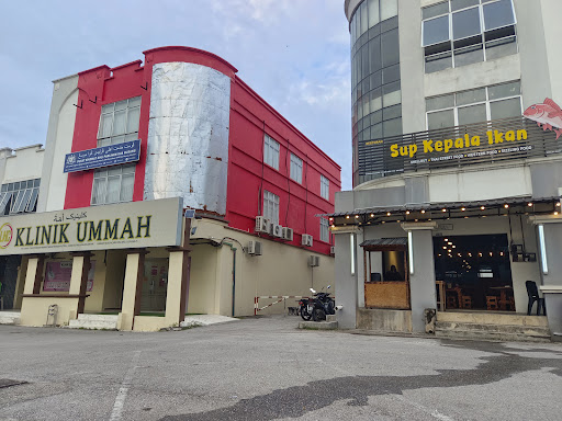 Sup Kepala Ikan Gua Musang