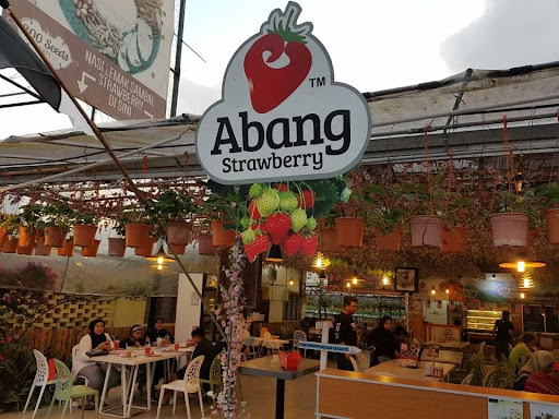 Abang Strawberry Abang Strawberry