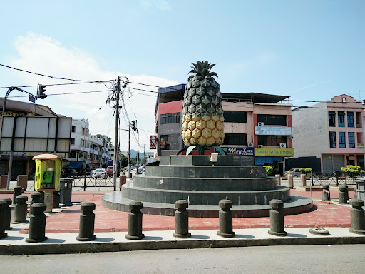 Pekan Nanas