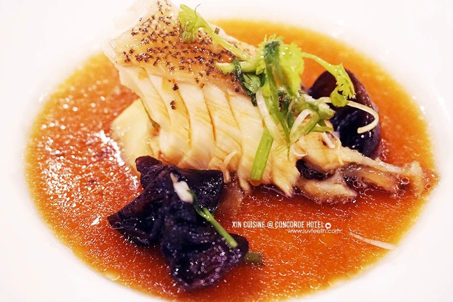 xin cuisine e5bf83